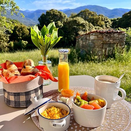 Tradition Corse Et Modernite A Cantina Granace Luaran gambar