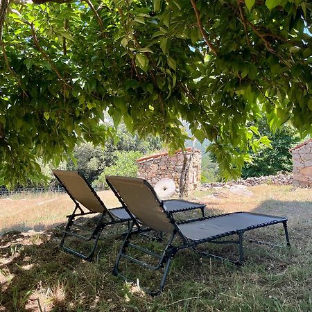 Tradition Corse Et Modernite A Cantina Granace Luaran gambar
