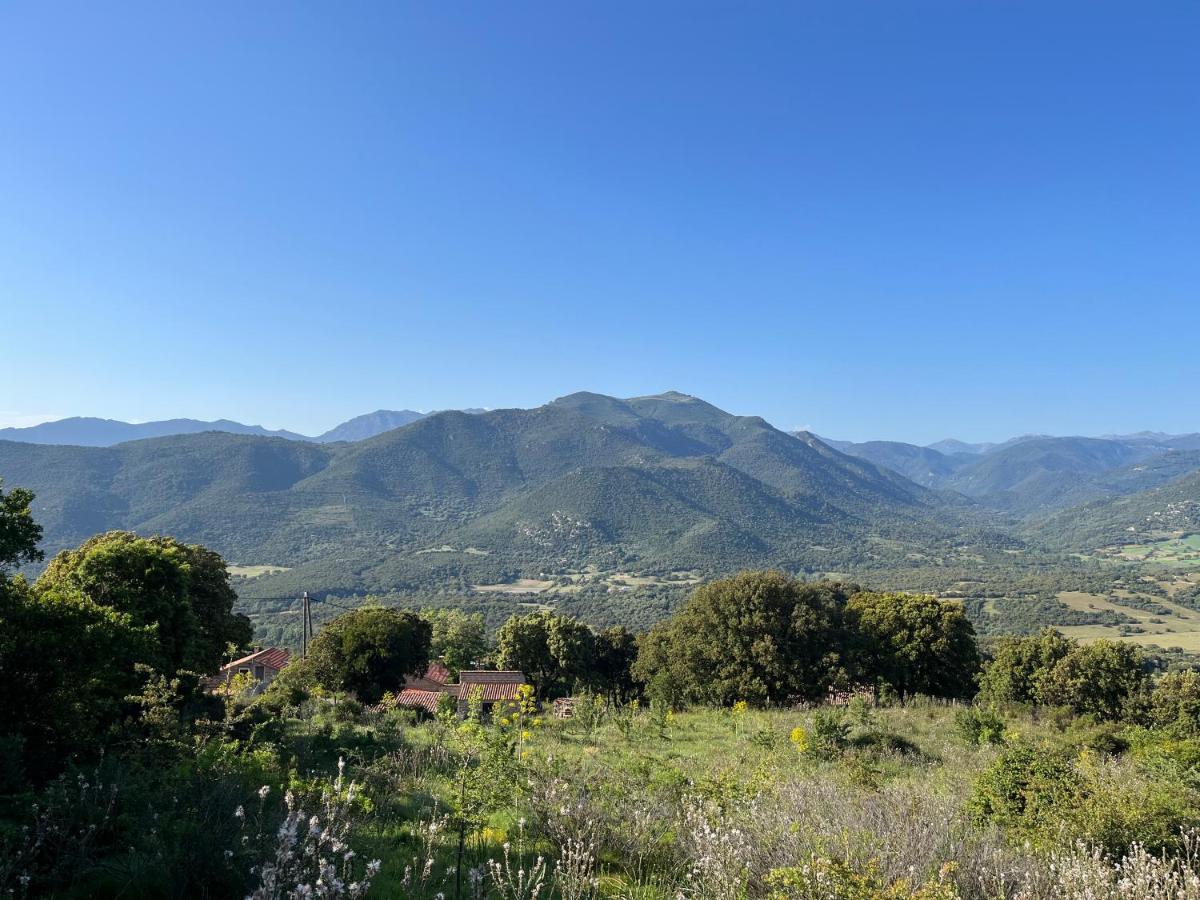 Tradition Corse Et Modernite A Cantina Granace Luaran gambar