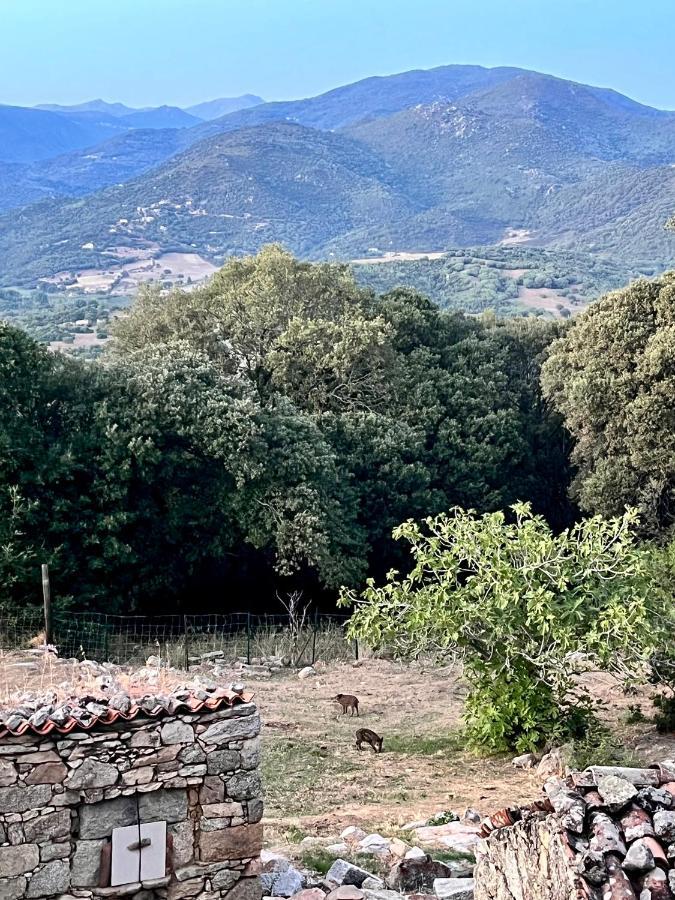 Tradition Corse Et Modernite A Cantina Granace Luaran gambar