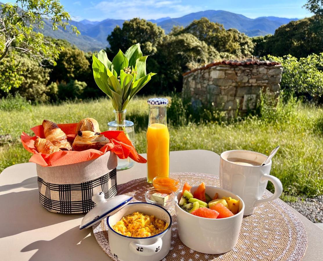 Tradition Corse Et Modernite A Cantina Granace Luaran gambar