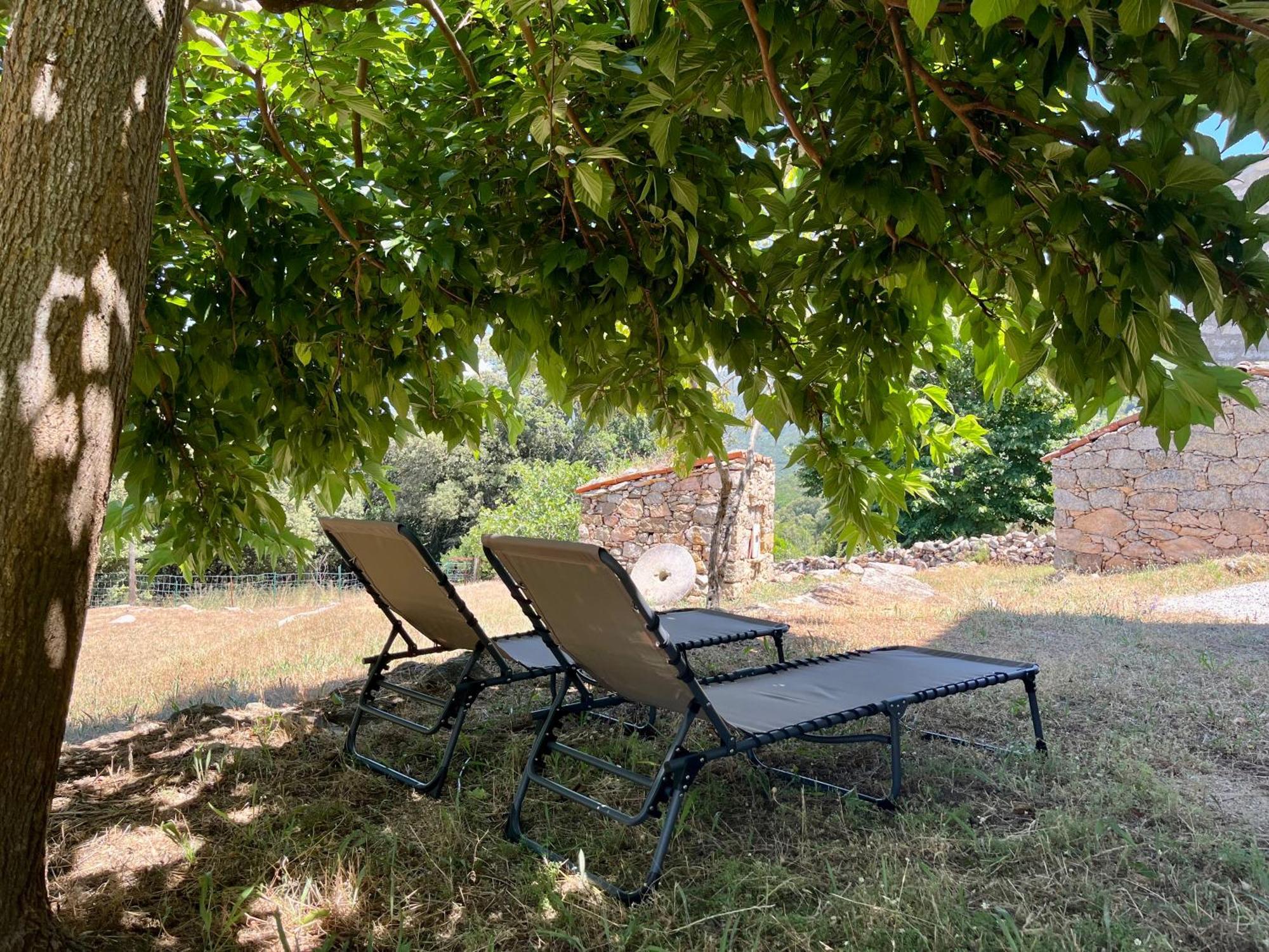 Tradition Corse Et Modernite A Cantina Granace Luaran gambar
